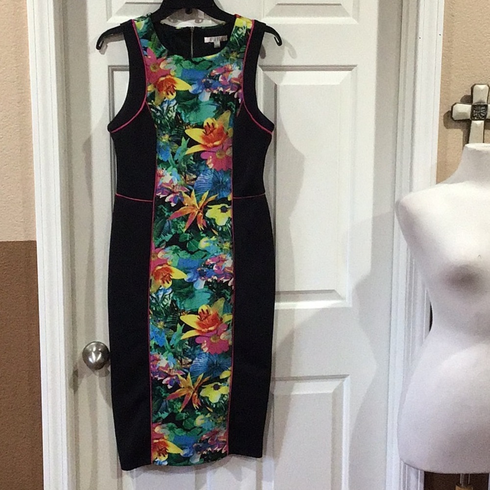Spense Multicolor Dress